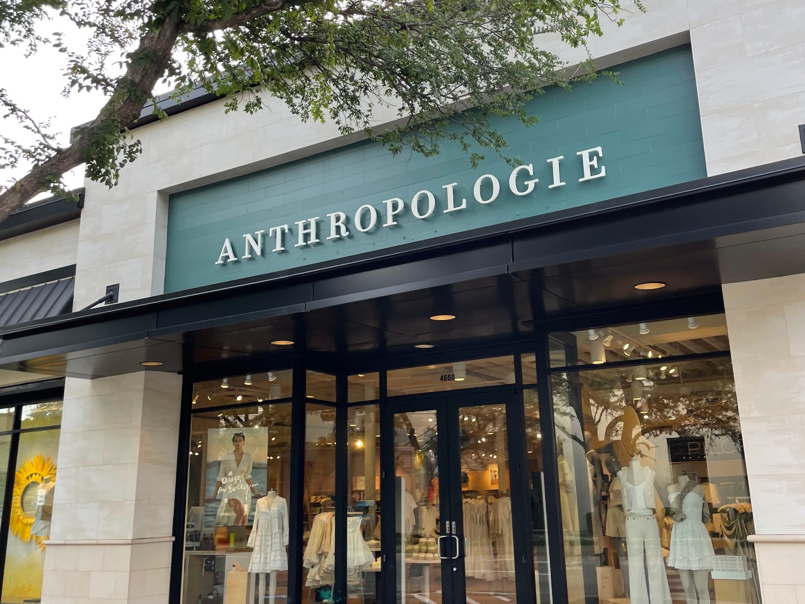 anthropologie