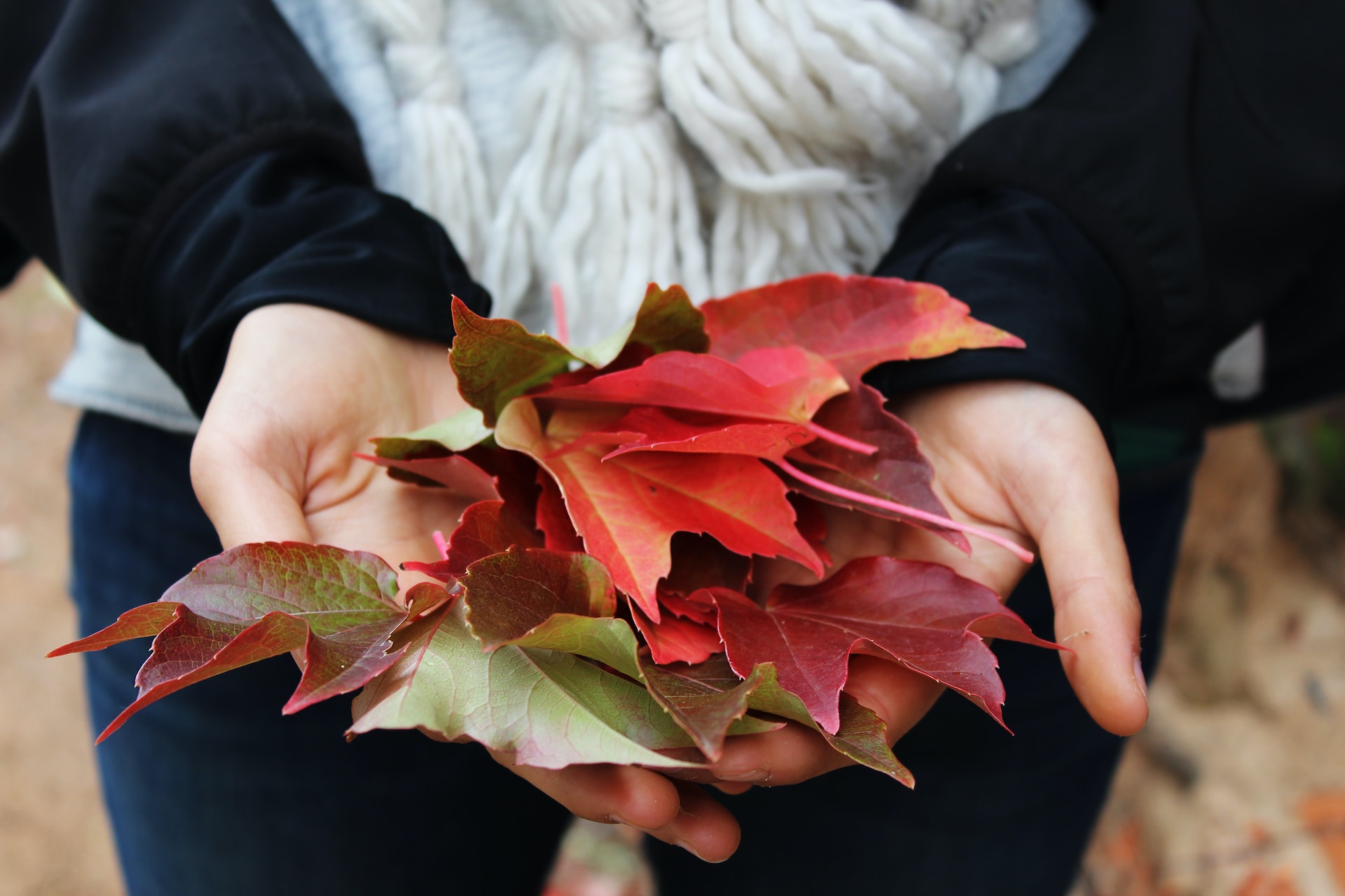 how to celebrate the fall equinox