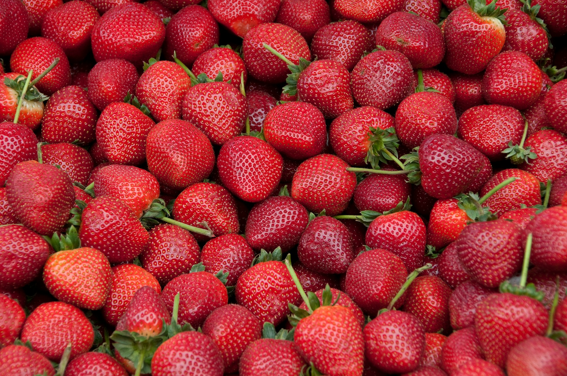 May Seasonal Produce To Look And Feel Your Best